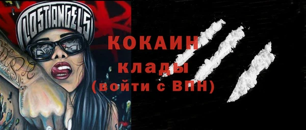 гидра Козловка