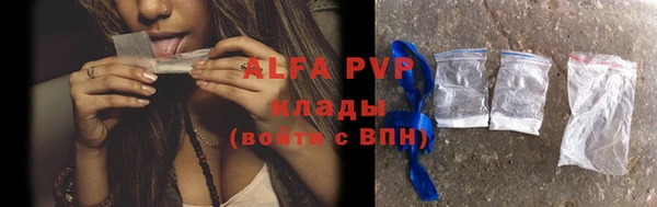 гидра Козловка