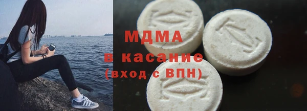 прущие грибы Новозыбков