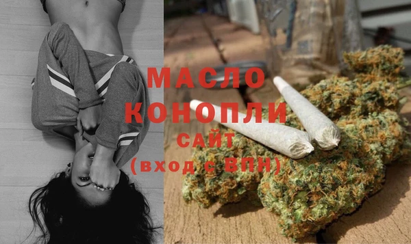 гидра Козловка