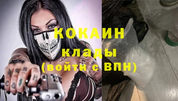 мяу мяу мука Кодинск