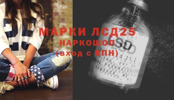 шишки Баксан