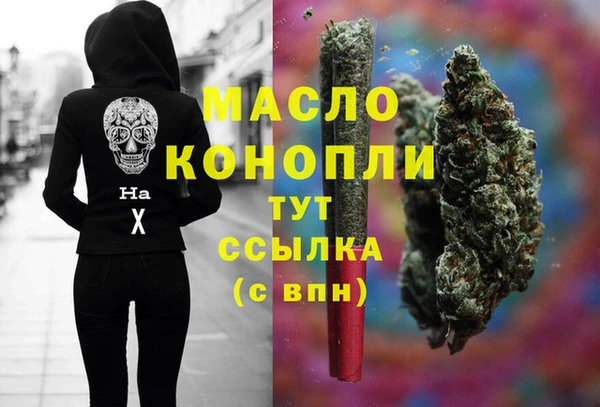 гидра Козловка