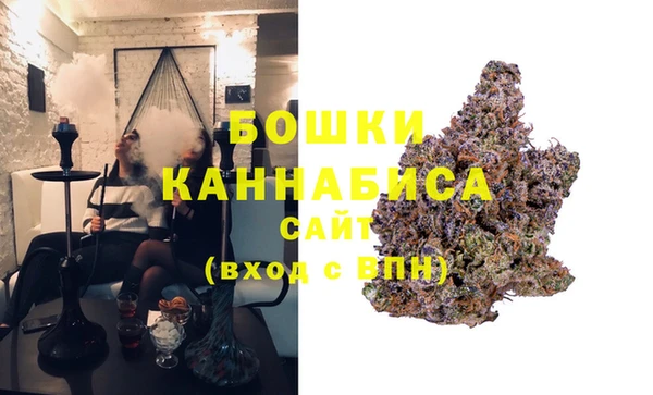 гидра Осинники