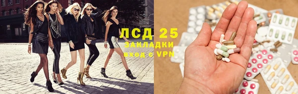 прущие грибы Новозыбков