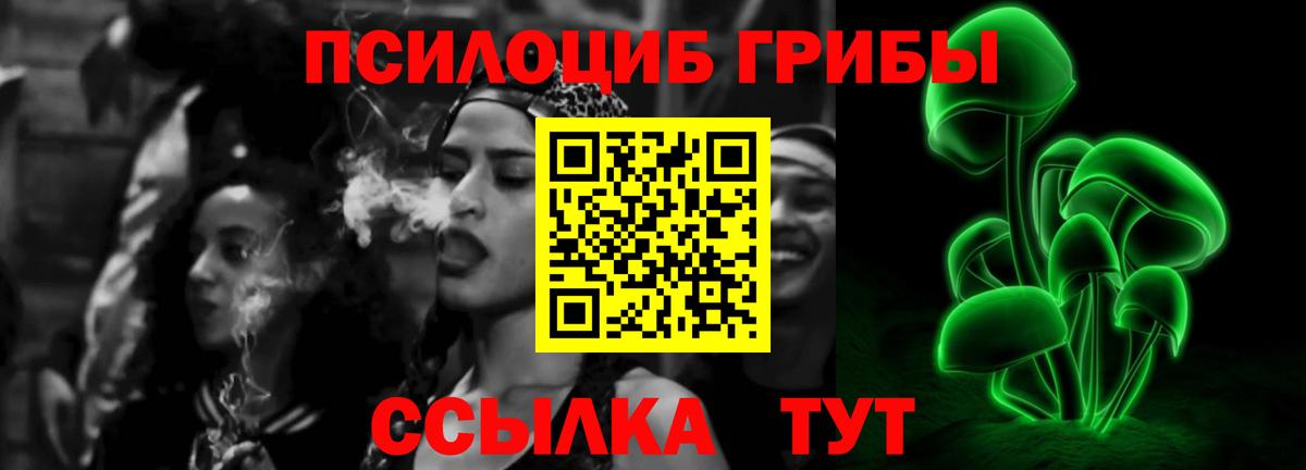 Дубна  Галлюциногенные грибы Magic Shrooms  Псилоцибиновые грибы Cubensis  Вход с VPN 