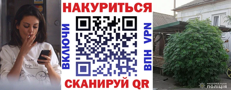 Конопля план Дубна