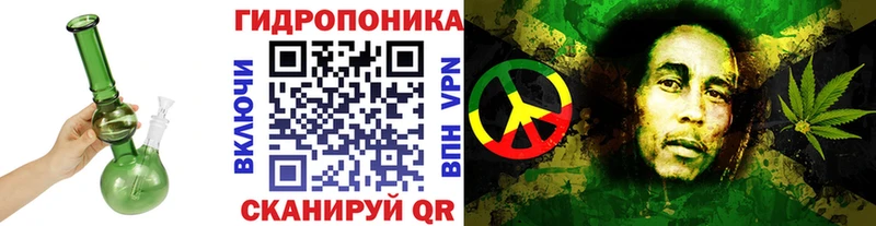как найти закладки  Дубна  гидра ссылка  Канабис тримм 